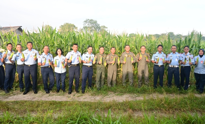 Panen Jagung Manis Kebun Mustang: Lanud RSN Mantapkan Komitmen Dukung Ketahanan Pangan