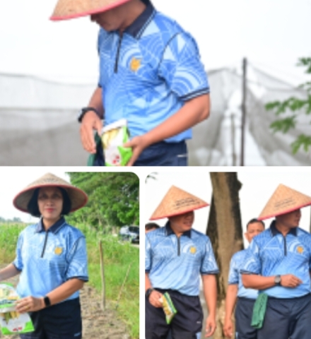 Perkuat Ketahanan Pangan Nasional, Lanud RSN Tanam Bibit Jagung Eksotik