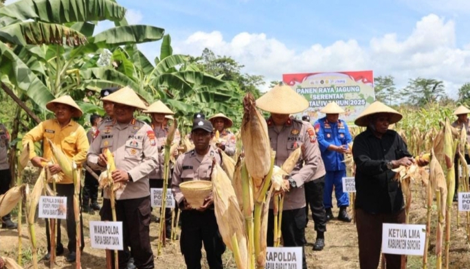 Perkuat Stabilitas Daerah, Kapolda Papua Barat Daya Pimpin Panen Raya Jagung Kuartal IV di Sorong